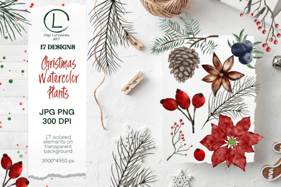 Watercolor Winter Plants Clipart PNG for Designers